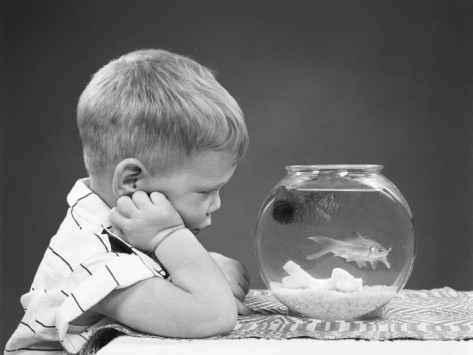 h-armstrong-roberts-boy-leaning-head-on-hand-staring-at-lone-goldfish-in-fishbowl