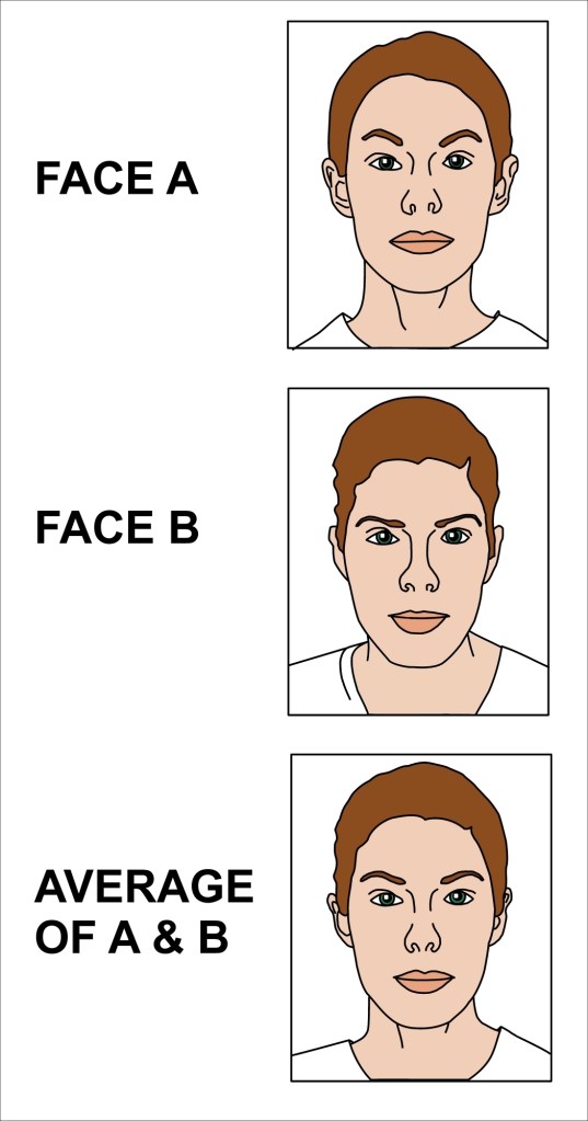 Average_of_two_faces_2